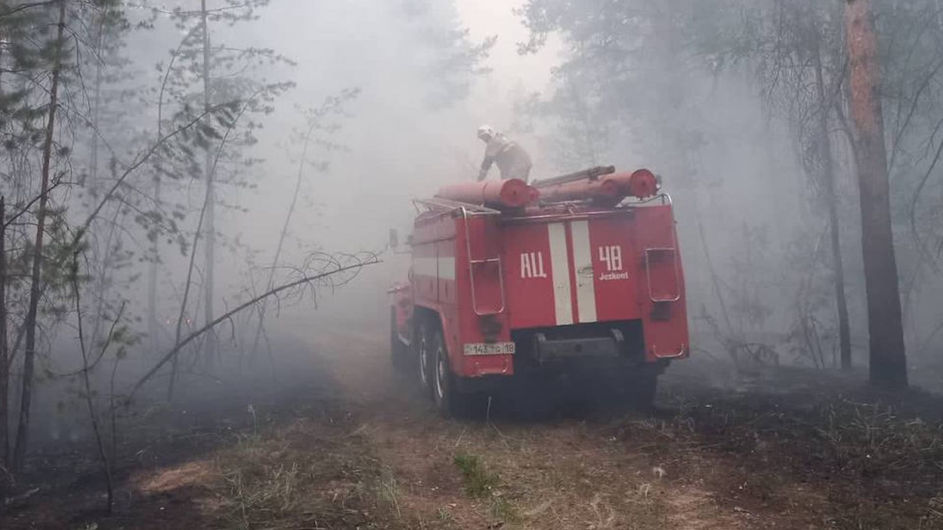 Лесной пожар на территории области Абай практически локализован