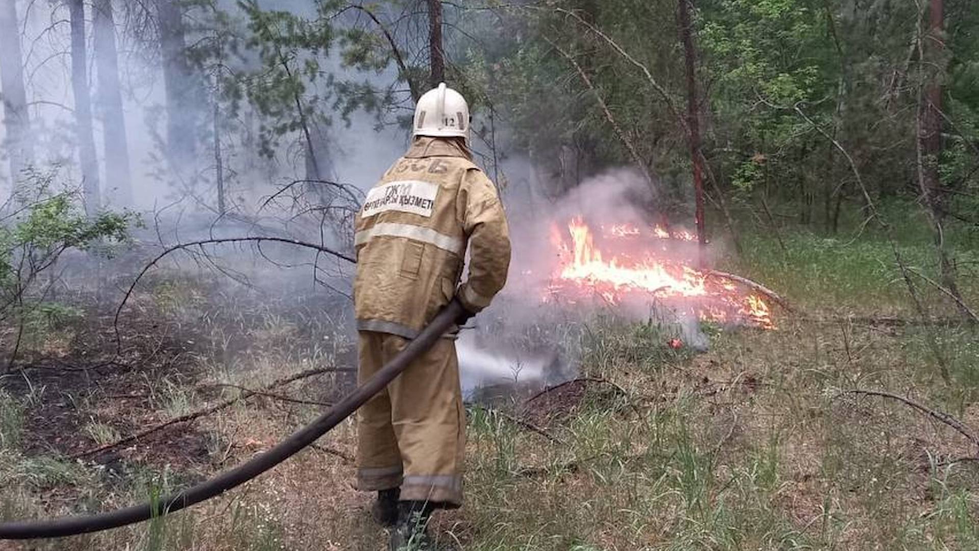 Сообщается о 6 погибших в ходе природного пожара в области Абай