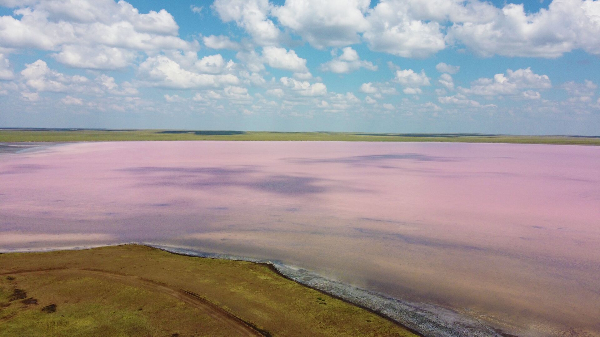 Павлодарской области Минэкологии поручило очистить озеро «розовое» от шин - Bizmedia.kz