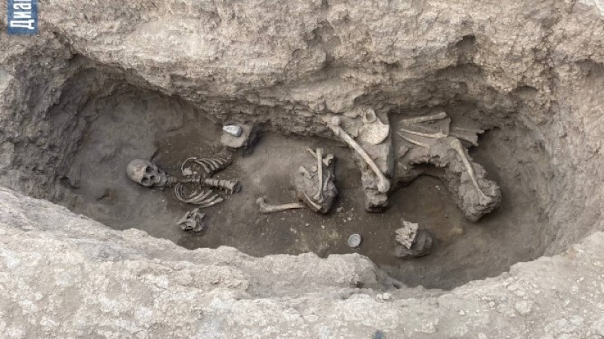 В Актюбинской области обнаружены захоронения загадочного племени с вытянутыми черепами