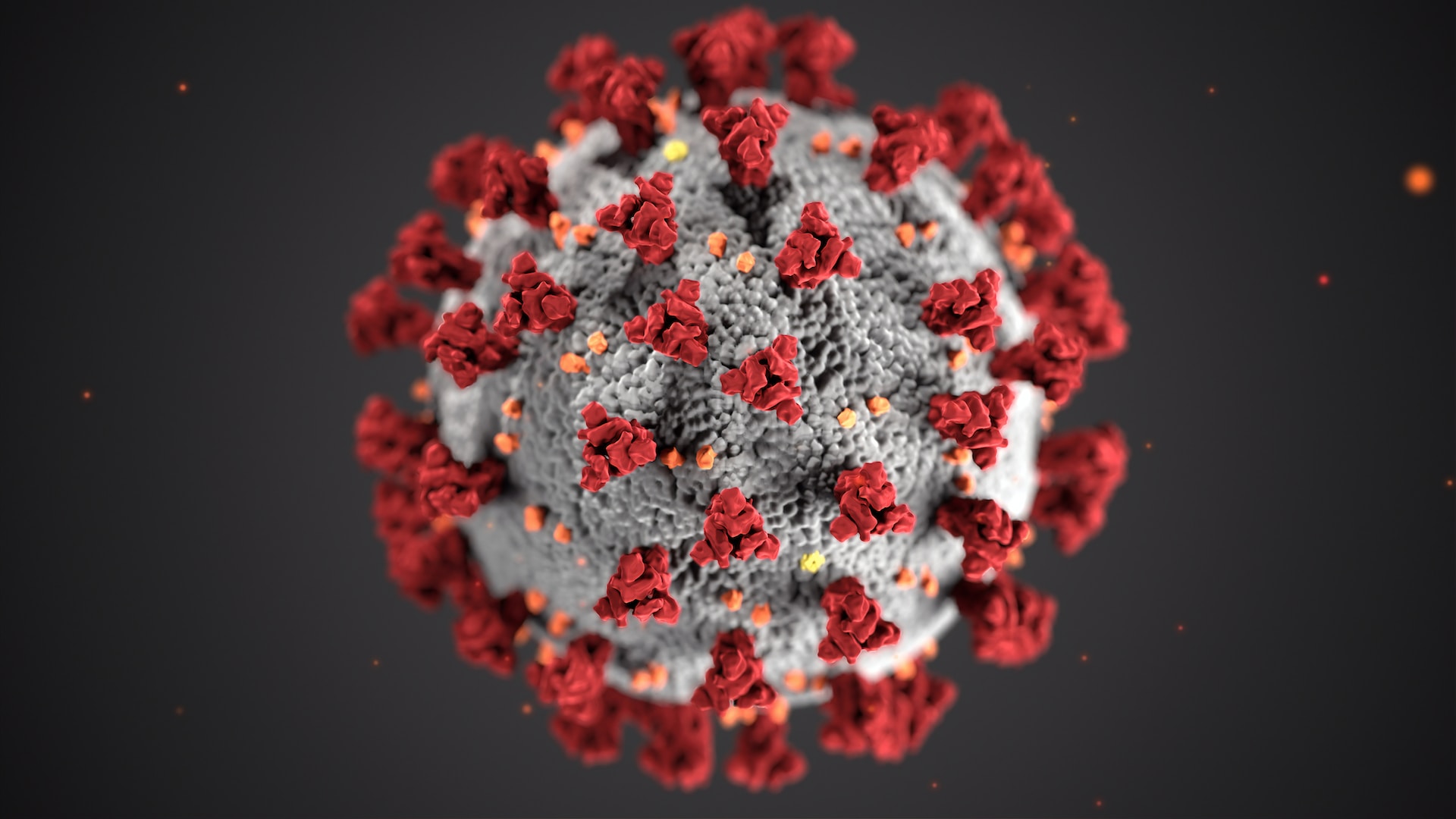 Глава ВОЗ предупреждает о росте нового штамма коронавируса EG.5 D-19