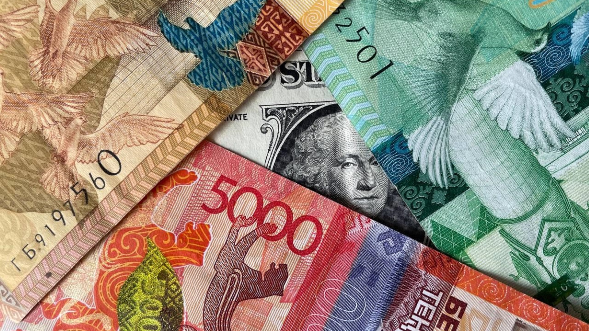 Каков курс доллара, евро и рубля в обменниках Казахстана - Bizmedia.kz