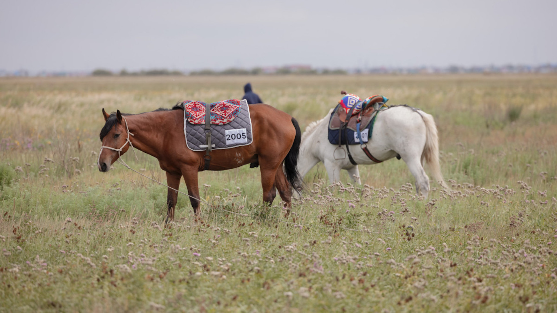 Команда Северо-Казахстанской области выбыла из масштабного конного марафона