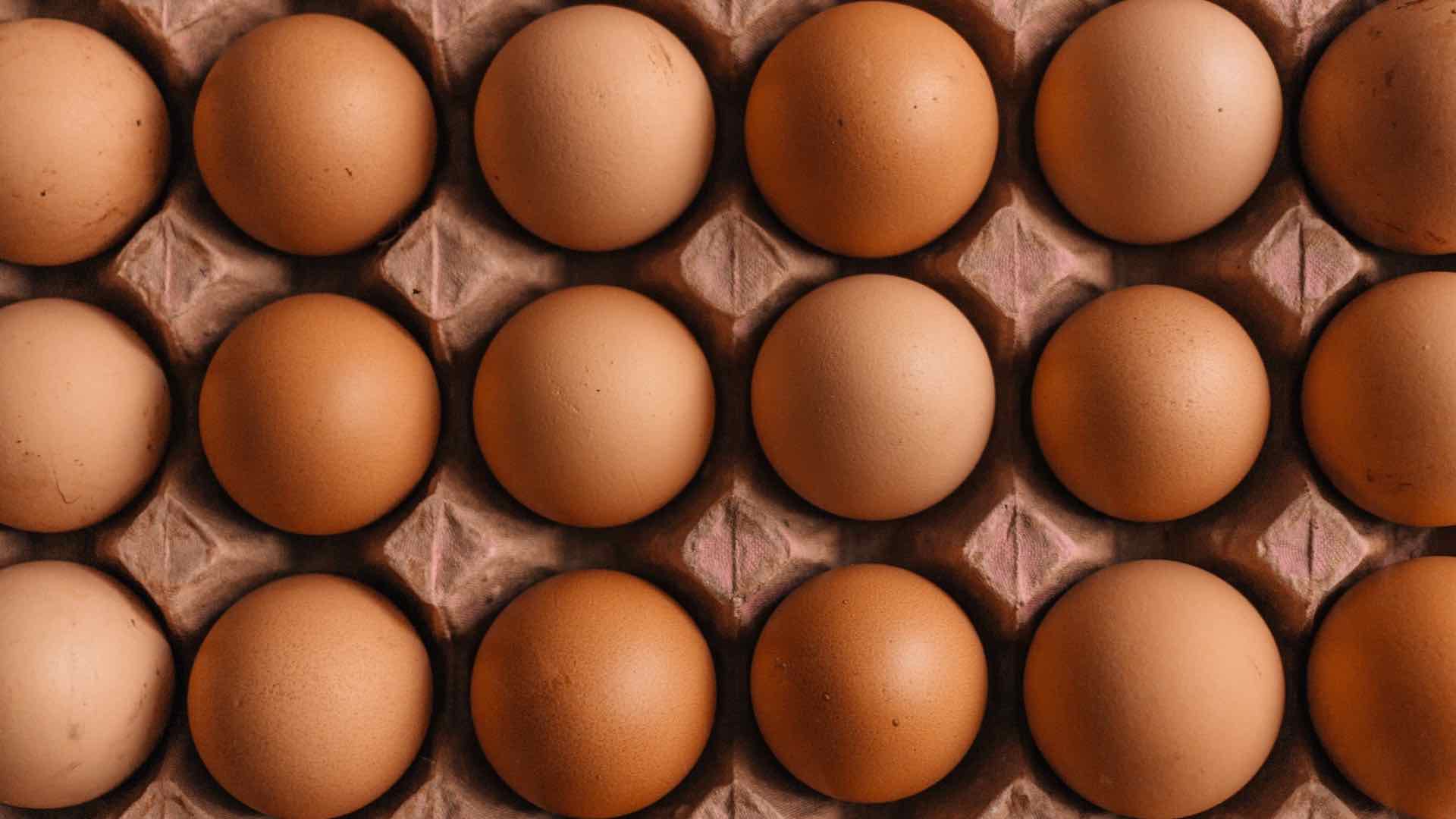 В Казахстане за неполный 2023 год произвели 3,3 миллиарда куриных яиц