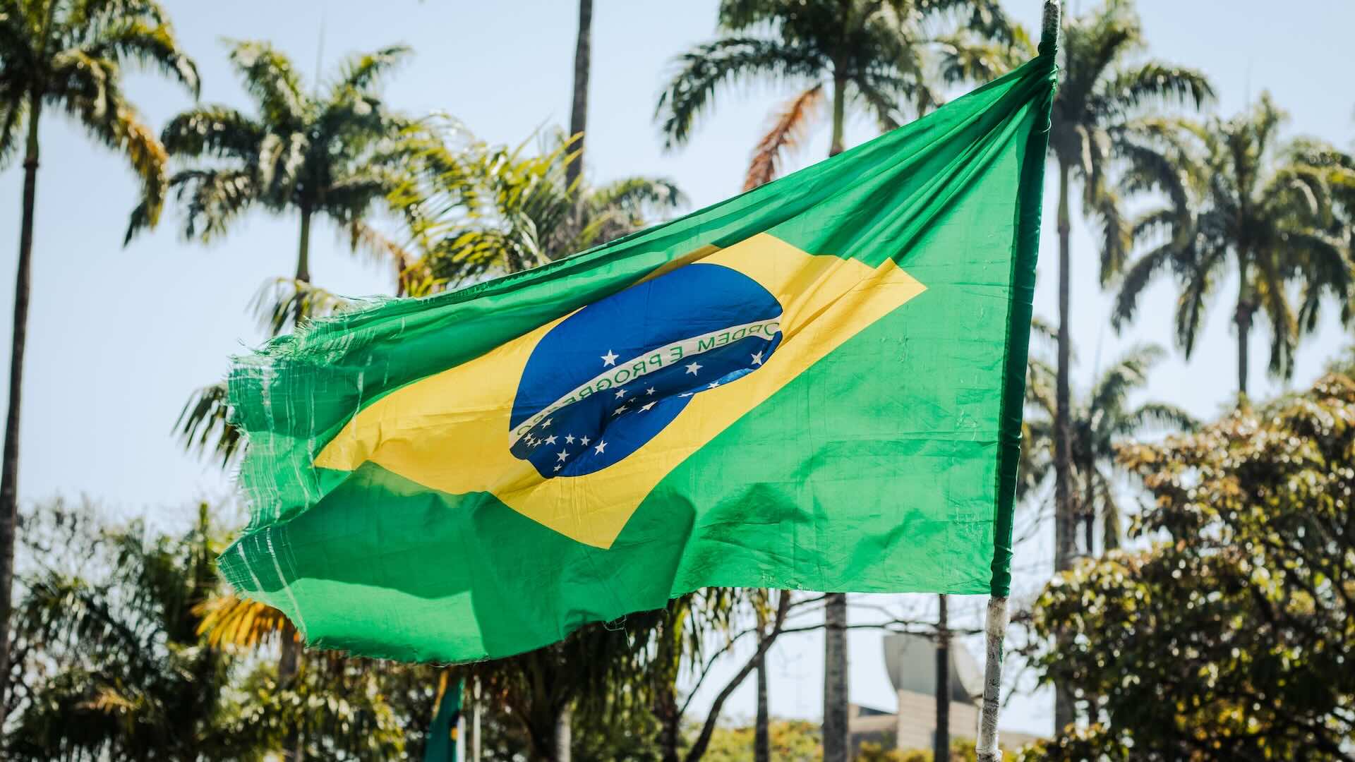 Бразилия присоединится к ОПЕК+ в январе 2024 года, сообщил источник