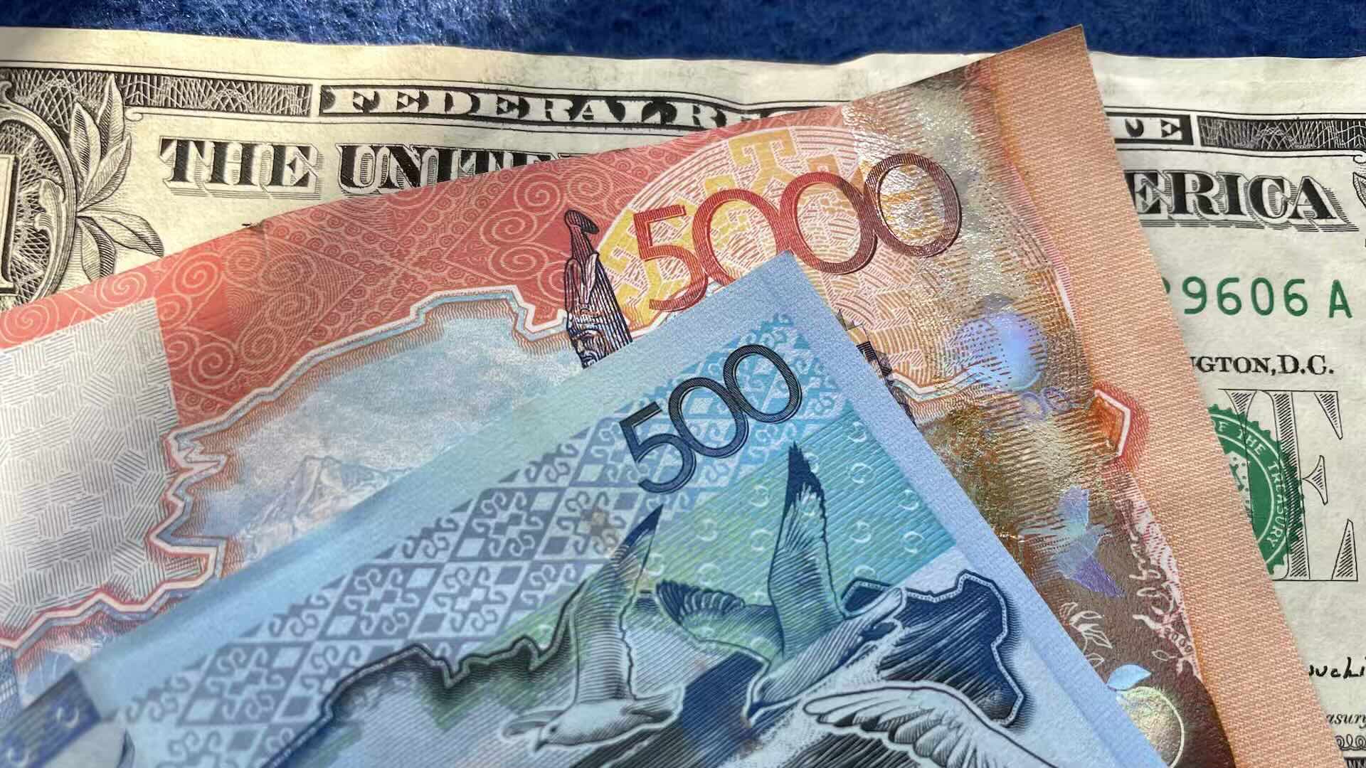 Эксперт рассказала о возможности связать цифровые валюты России и Казахстана