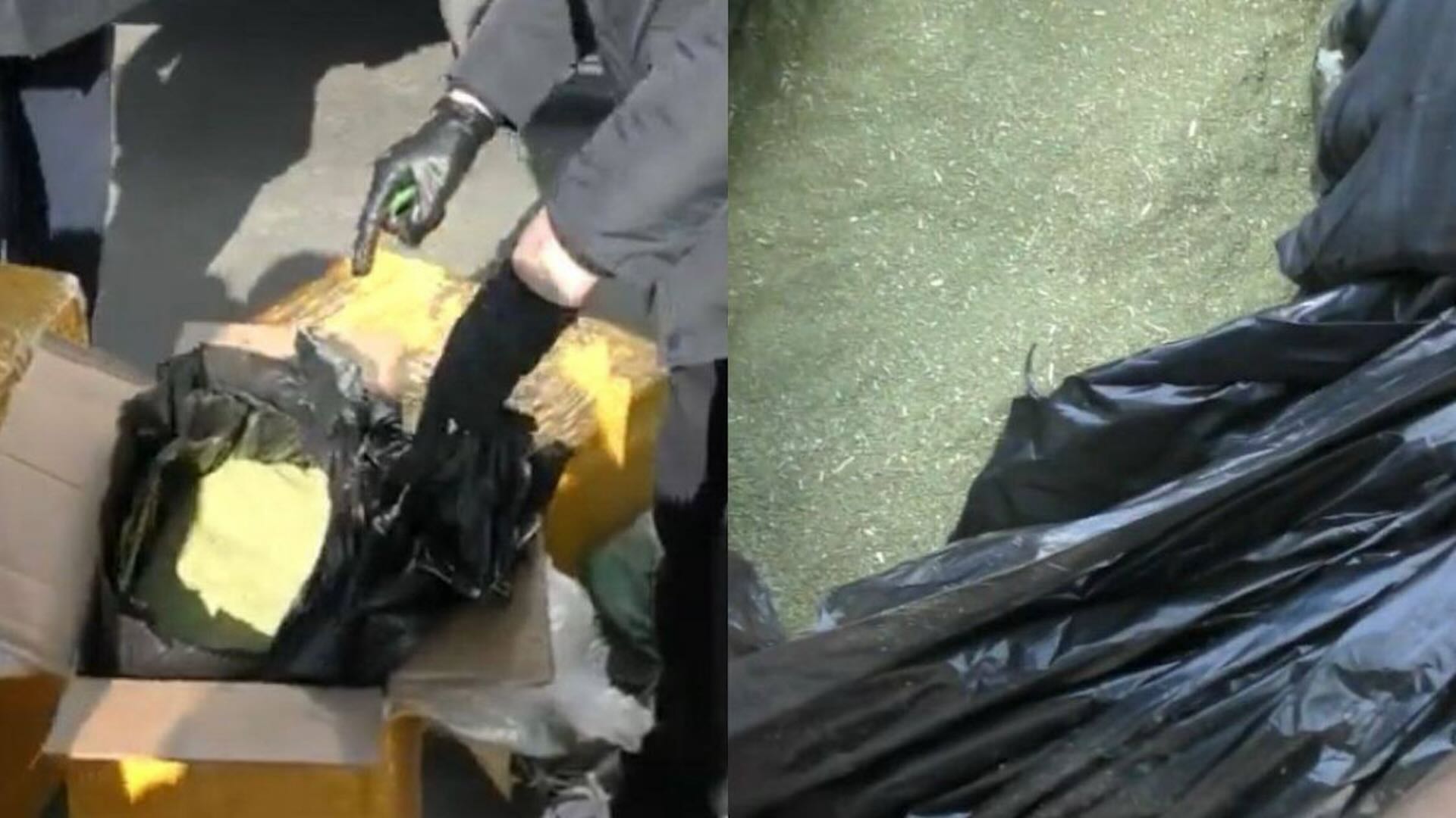 Полиция Алматы изъяла 151 кг гашиша в ходе спецоперации