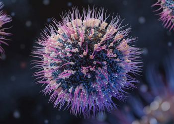 Найден новый класс антител, способных нейтрализовать несколько штаммов вируса гриппа