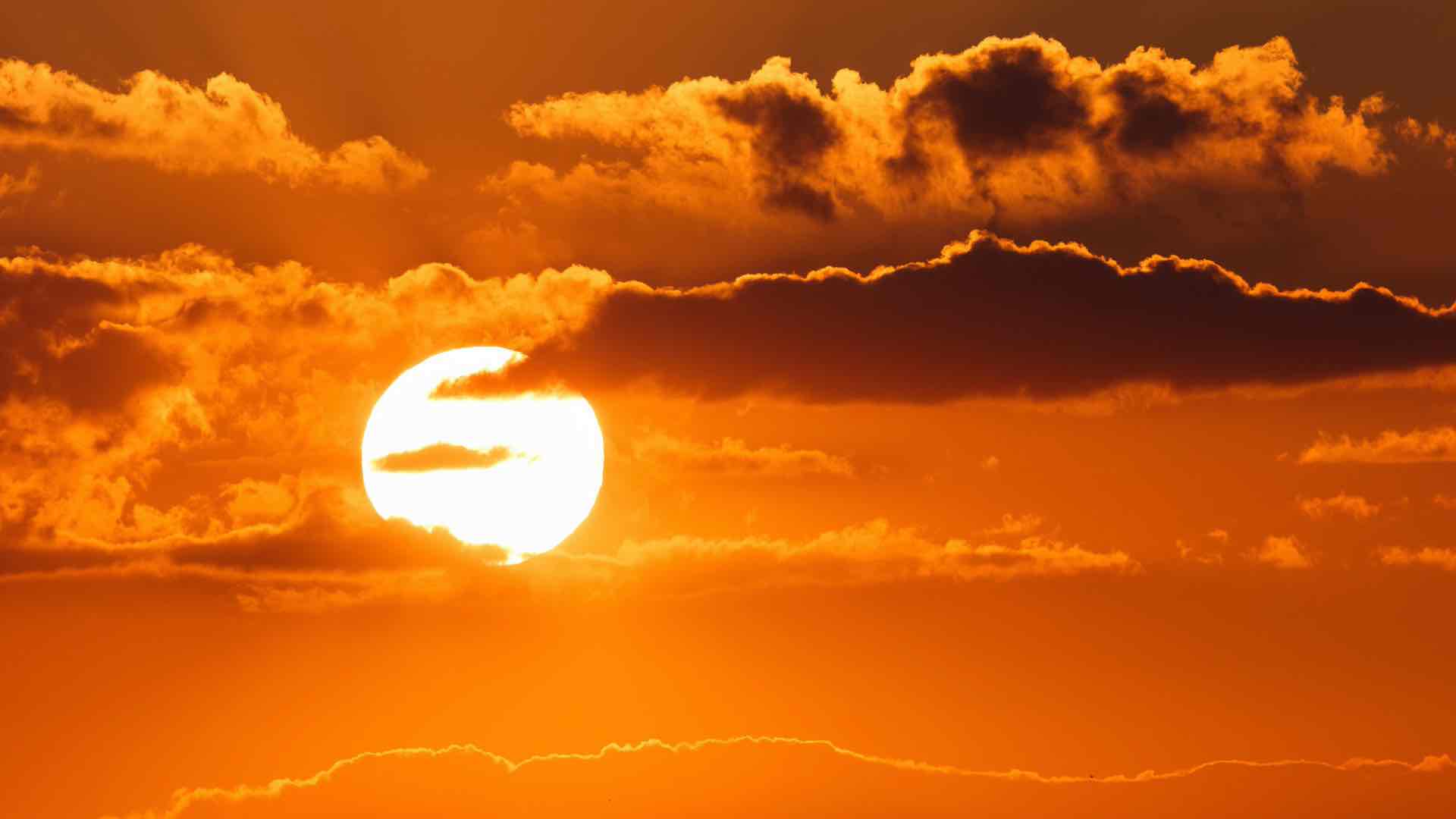 Ноябрь 2023 года признали самым теплым за всю историю наблюдений