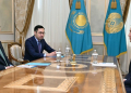 Президент встретился с главой НОК Геннадием Головкиным_bizmedia.kz