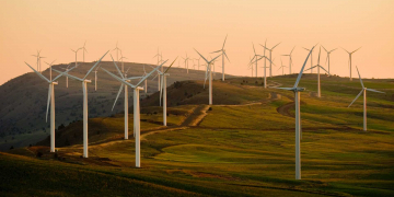 В Туркестанской области насчитывается 21 объект возобновляемой энергетики